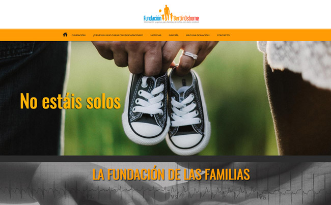 Diseño web y logotipo Fundación Bertín Osborne
